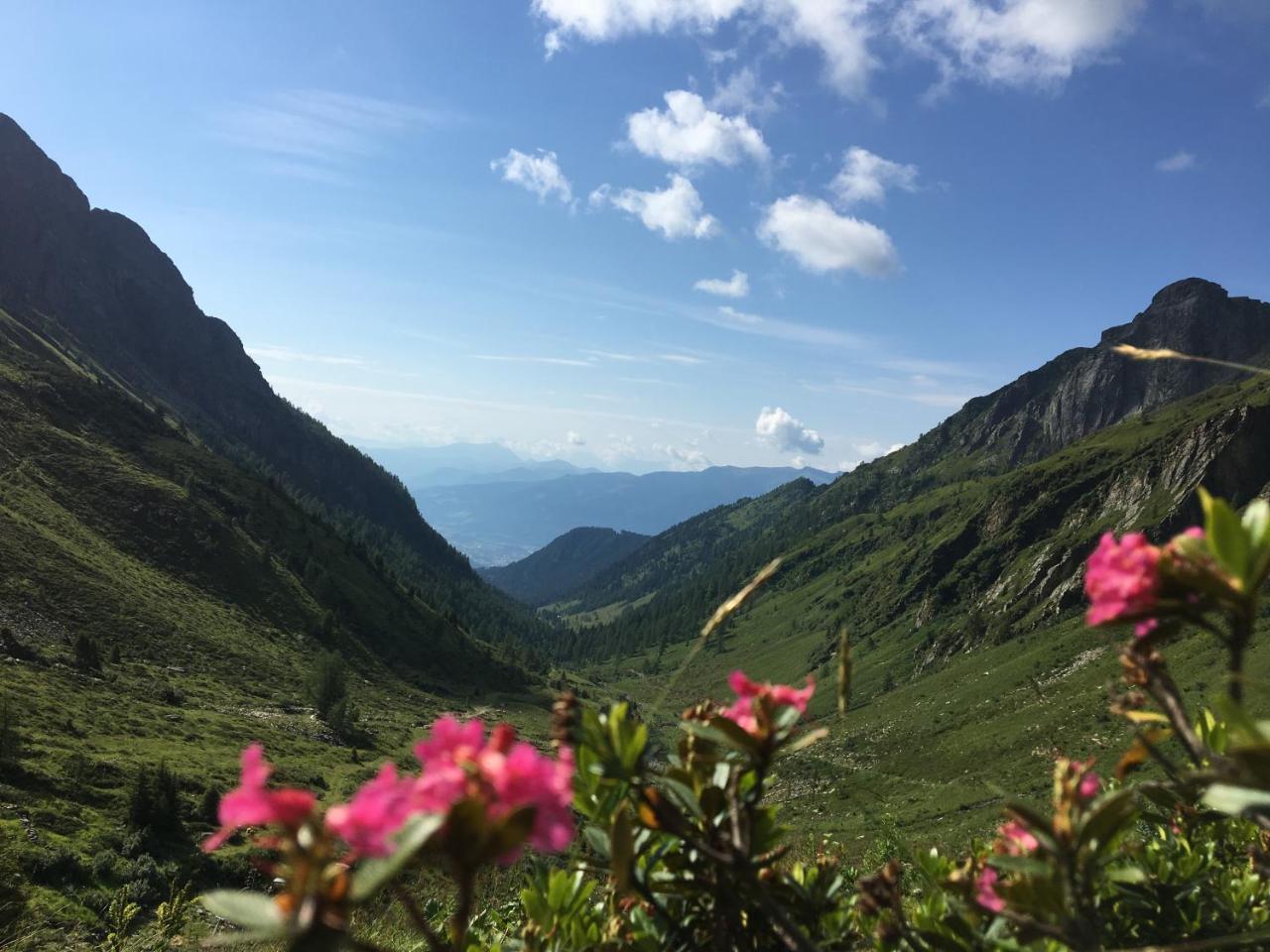 Lendorf Bergbauernhof Stauder - Hirschbergalpakas 빌라 외부 사진